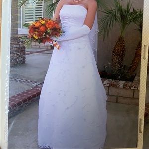 Wedding Dress and Veil